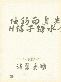 他的白月光HVH桔子糖水全文