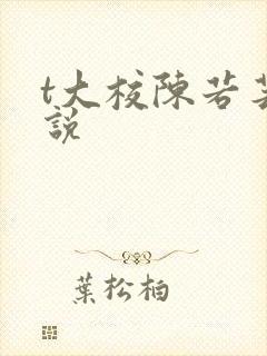 t大校陈若芸小说