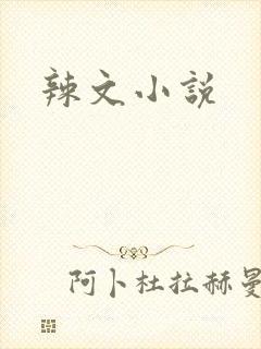 辣文小说