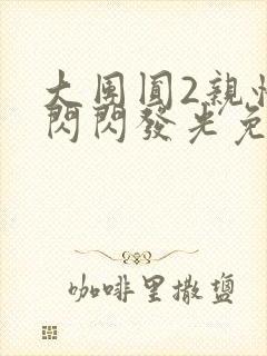 大团圆2亲情会闪闪发光免费