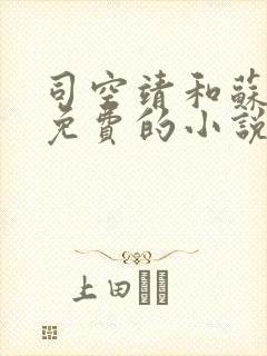 司空靖和苏月汐免费的小说笔趣阁