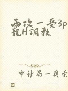 两攻一受3p双龙H调教