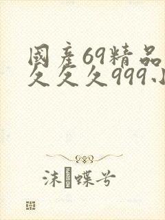 国产69精品久久久久999小说