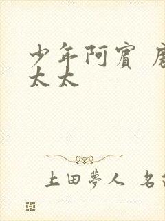 少年阿宾 房东太太