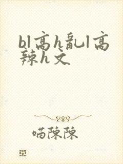 bl高h乱l高辣h文