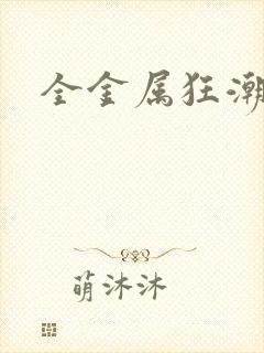 全金属狂潮小说