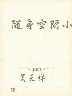 随身空间小说