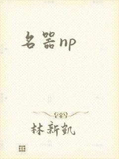 名器np