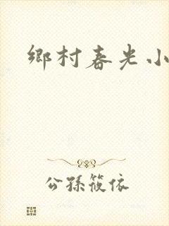 乡村春光小说