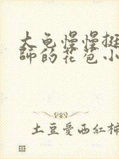 大龟慢慢挺进老师的花苞小说