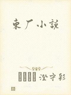 东厂小说