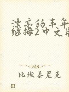 漂亮的丰年经的继拇2中文版