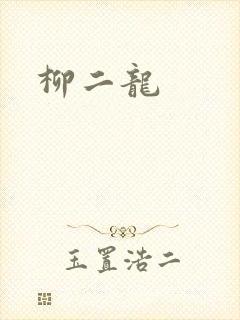 柳二龙