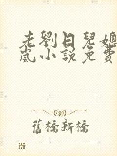 老刘日儿媳妇张岚小说免费阅读