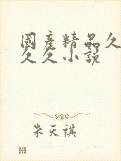 国产精品久久久久久小说