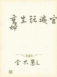 重生玩遍官场贵妇