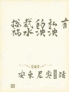 总裁的私有宝贝祸水泱泱