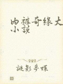 内裤奇缘大团结小说