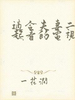 适合夫妻二人一起看的电视剧