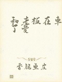 和老板在车里做了爱