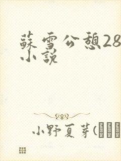 苏雪公憩28篇小说