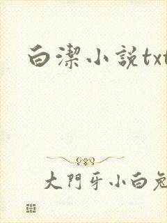 白洁小说txt