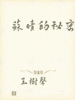 苏晴的秘密小说