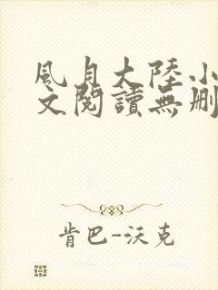 风月大陆小说全文阅读无删减