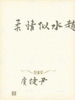 柔情似水赵雅儿