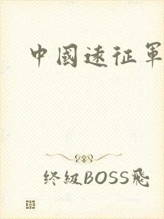 中国远征军小说