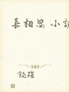 长相思 小说