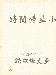 时间停止小说