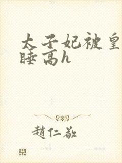 太子妃被皇上强睡高h