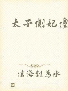 太子侧妃傻乎乎