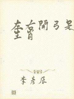 左右开弓是什么生肖