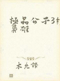 极品公子3续世枭雄