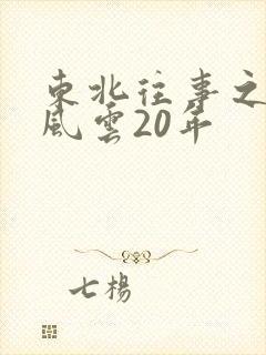 东北往事之黑道风云20年