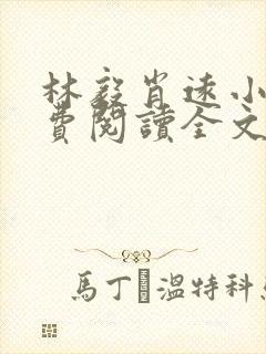 林毅肖远小说免费阅读全文最新章节