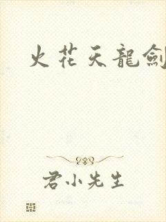 火花天龙剑