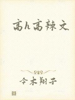 高h高辣文