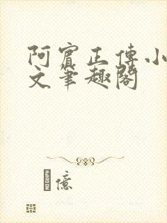 阿宾正传小说全文笔趣阁