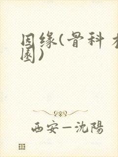 因缘(骨科 校园)