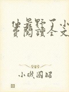 他最野了小说免费阅读全文