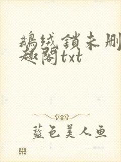 鹅绒锁未删除笔趣阁txt