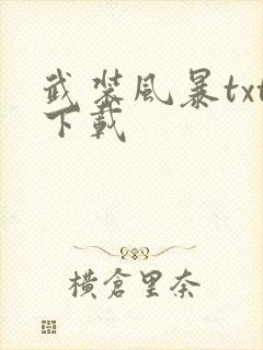 武装风暴txt下载
