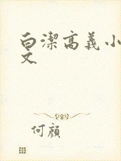 白洁高义小说全文