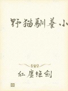 野猫驯养小说