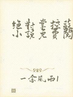 绝对掌控苏绵绵小说免费阅读全文