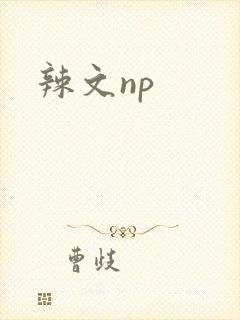 辣文np