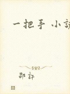 一把手 小说